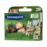 Salvequick sebtapasz Animal Planet 20x